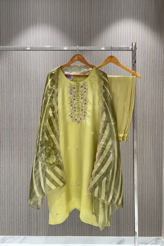 Green resham work Tissue Salwar Suits 1028-10133