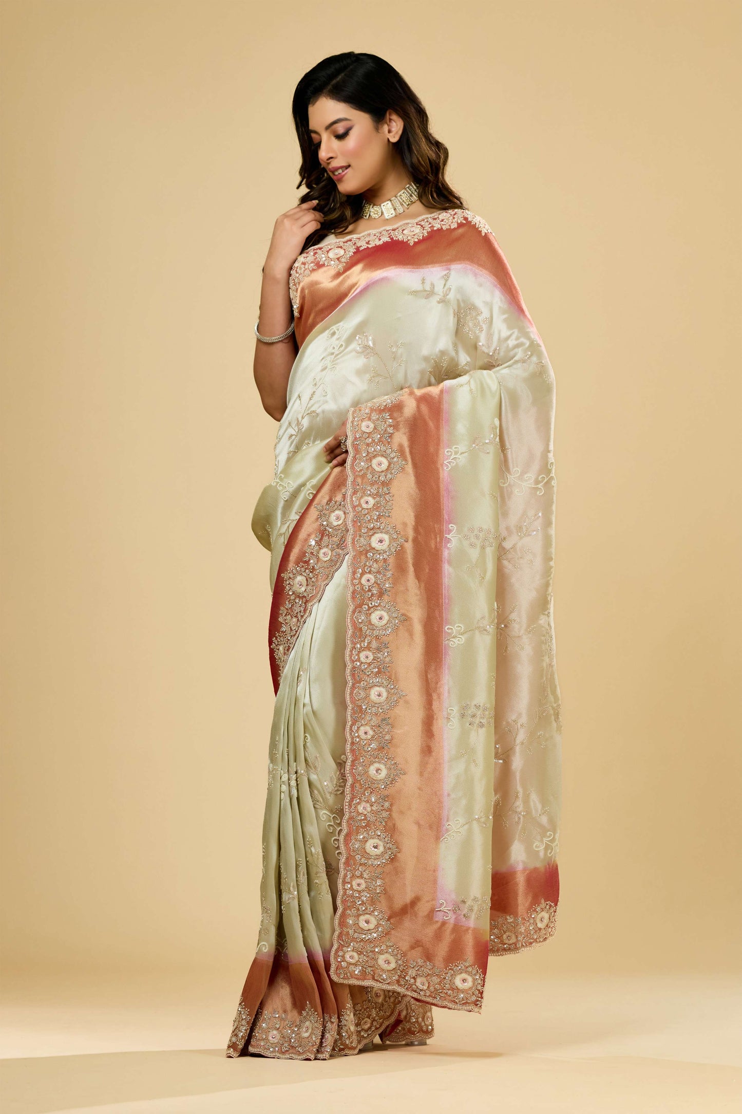 Multicolor Cut Dana Tissue Sarees 1007-10018