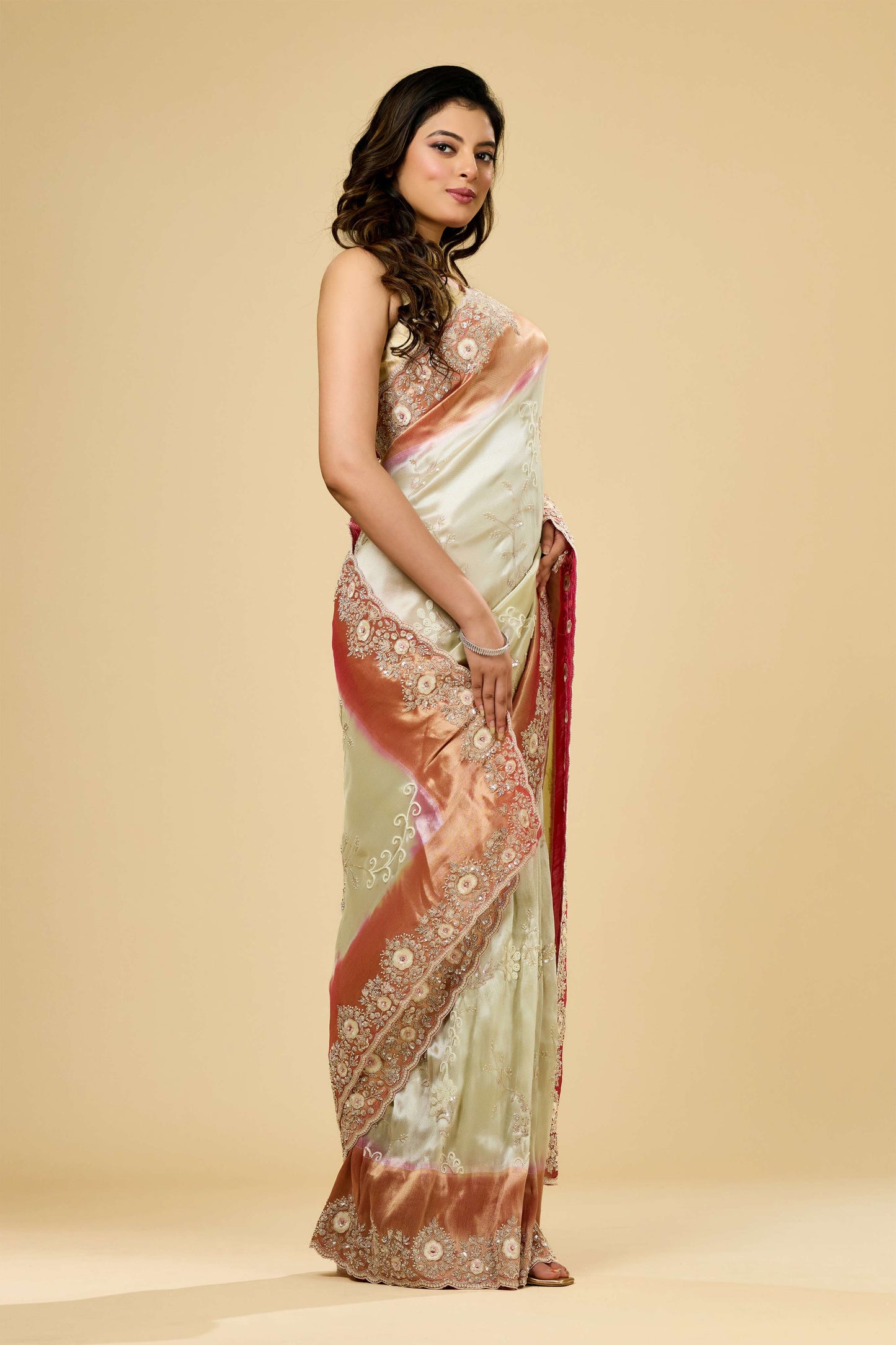Multicolor Cut Dana Tissue Sarees 1007-10018