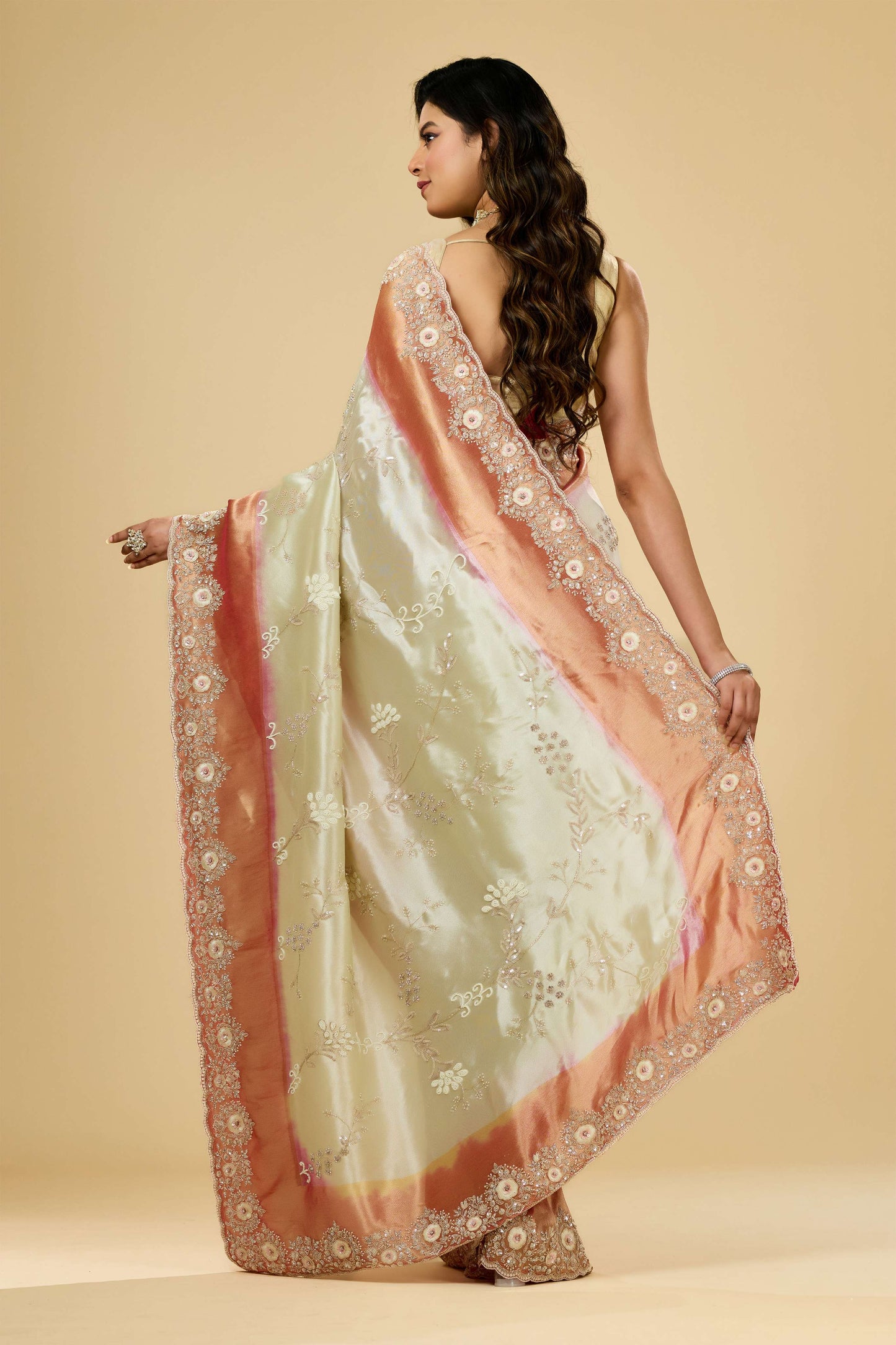 Multicolor Cut Dana Tissue Sarees 1007-10018