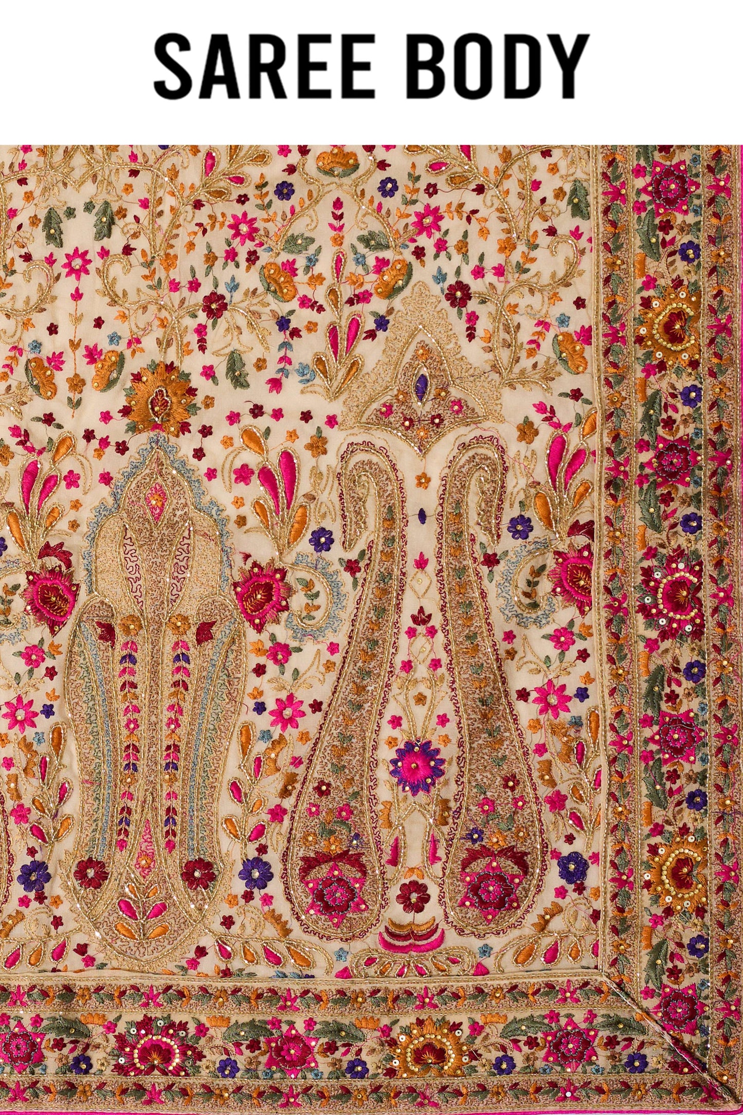 Beige Kashmiri Georgette Sarees 1007-10002
