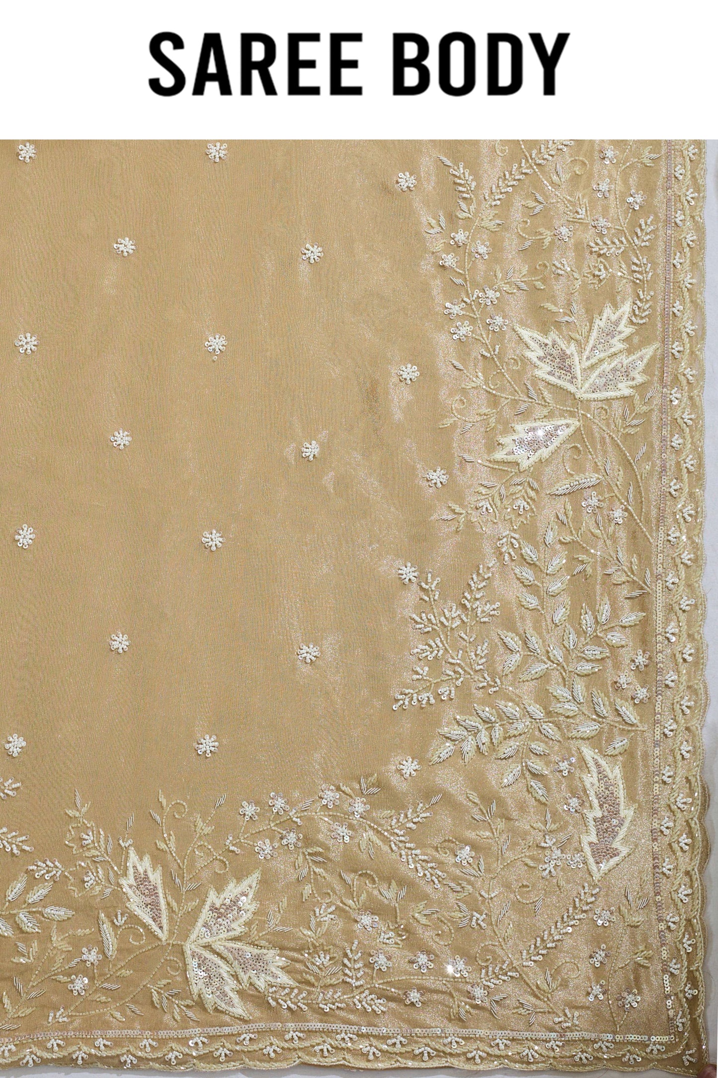 Beige Boolean work Tissue Sarees 1007-10003