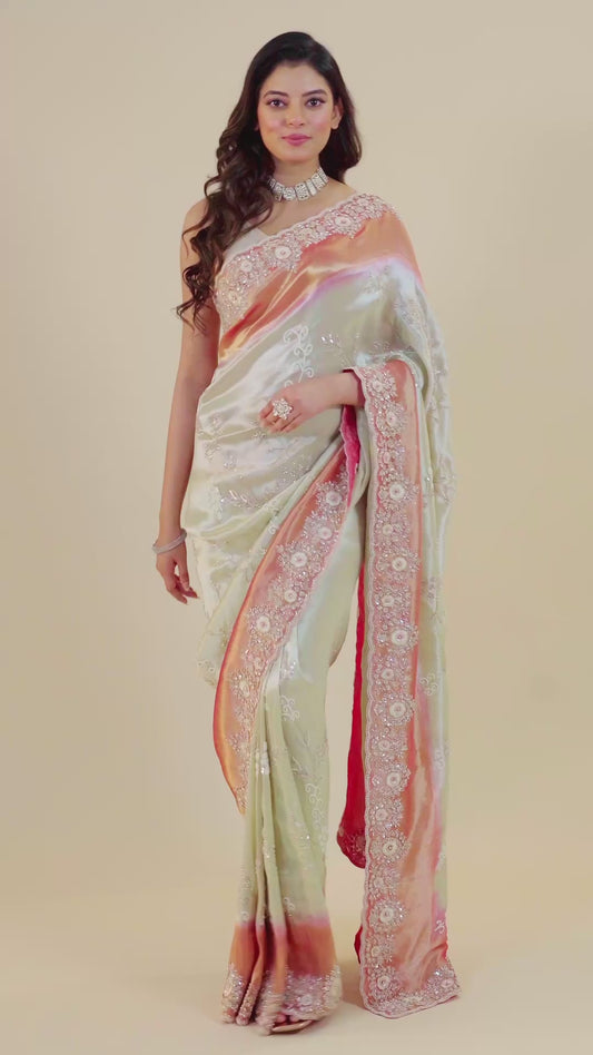 Multicolor Cut Dana Tissue Sarees 1007-10018