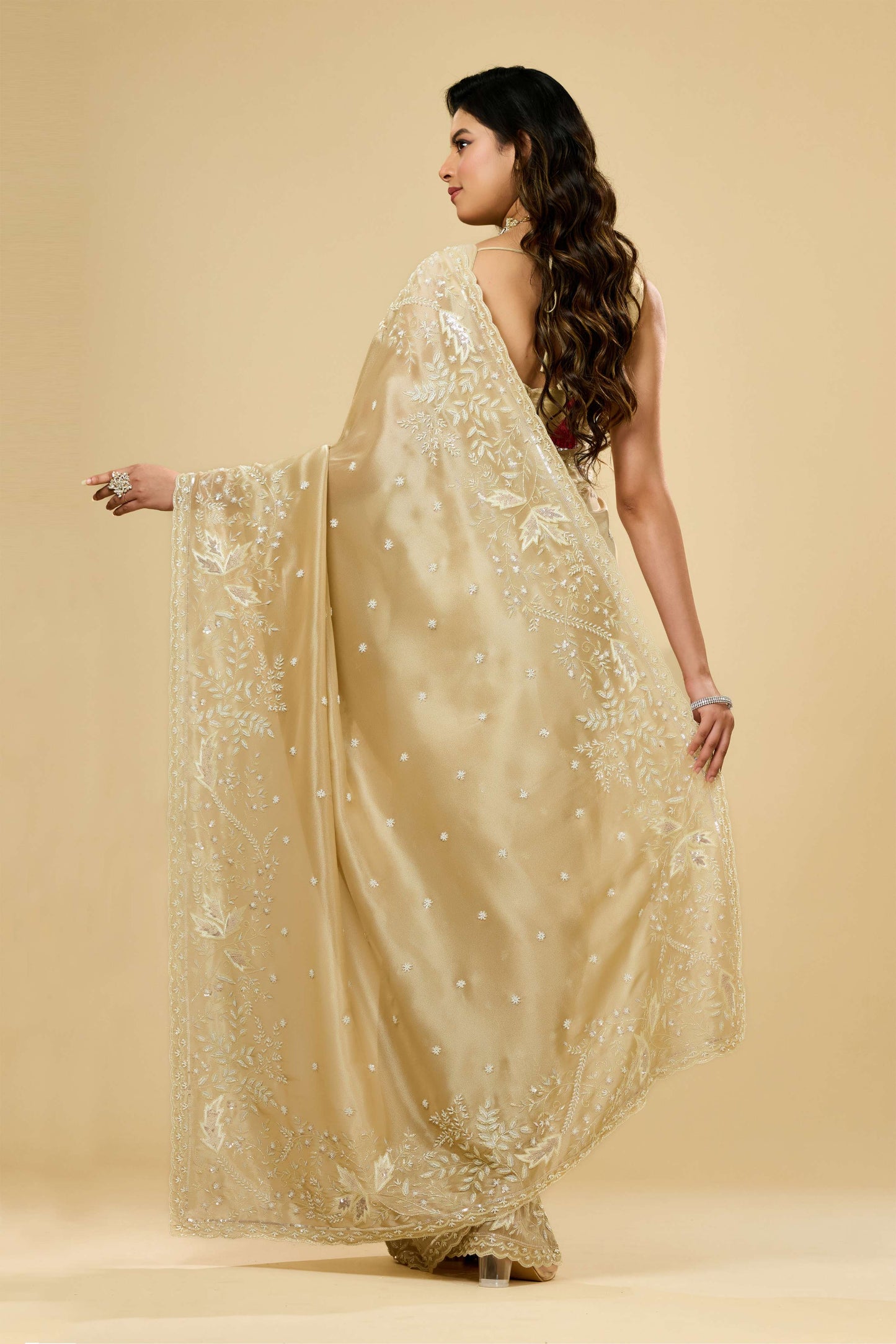 Beige Boolean work Tissue Sarees 1007-10003