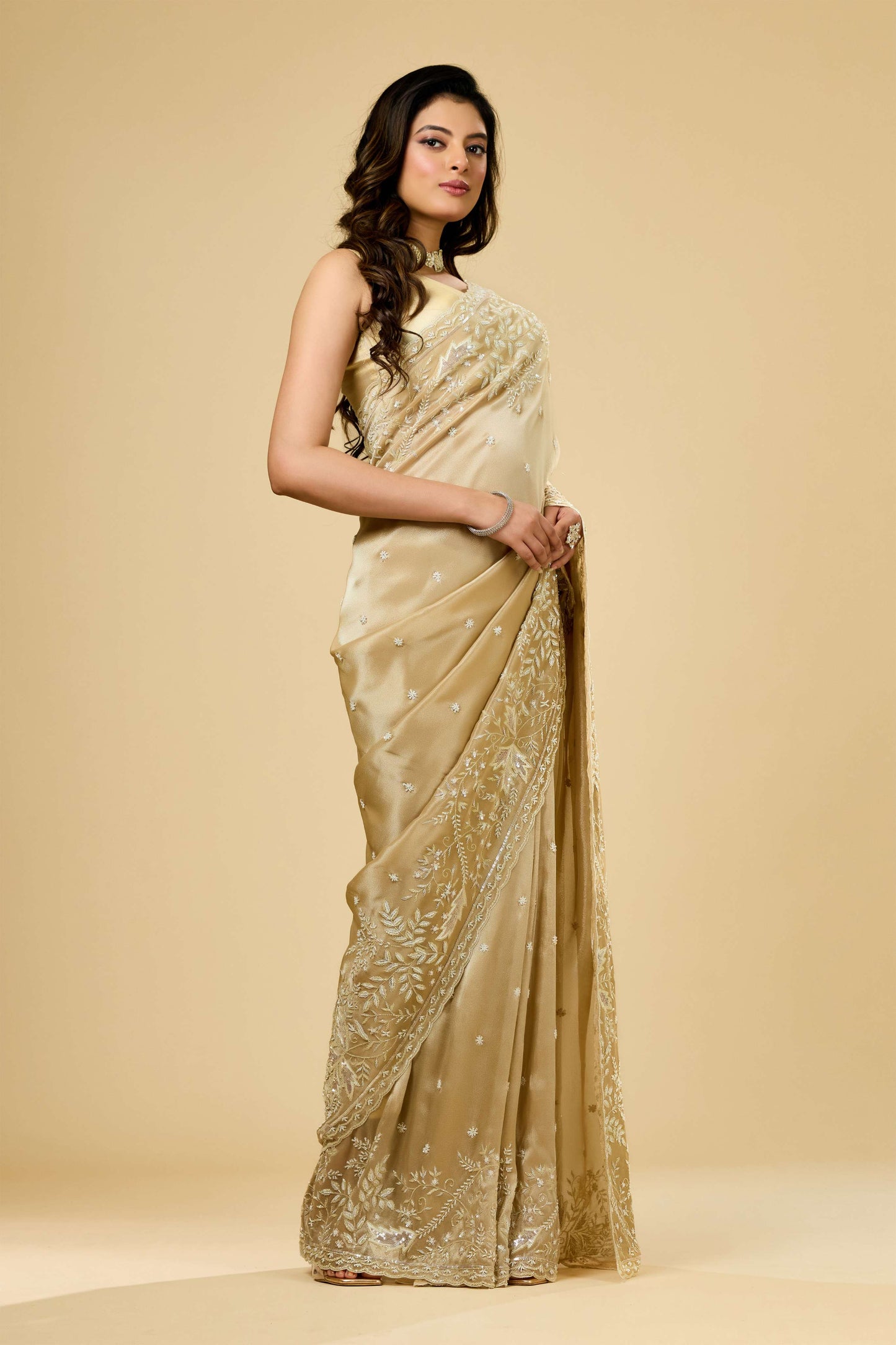 Beige Boolean work Tissue Sarees 1007-10003